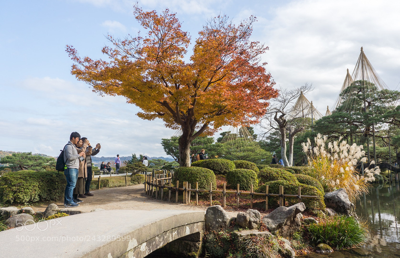 Sony Alpha NEX-7 sample photo. Leisure autumn in a photography
