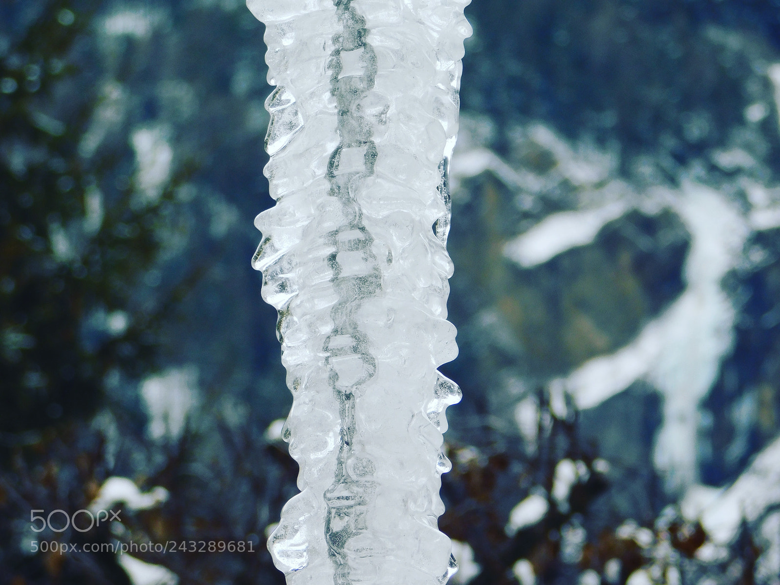 Nikon Coolpix B500 sample photo. Icicle photography