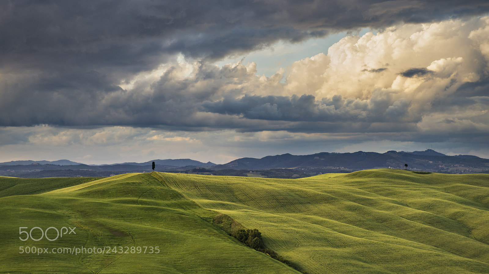 Pentax K-1 sample photo. Tuscany fields photography