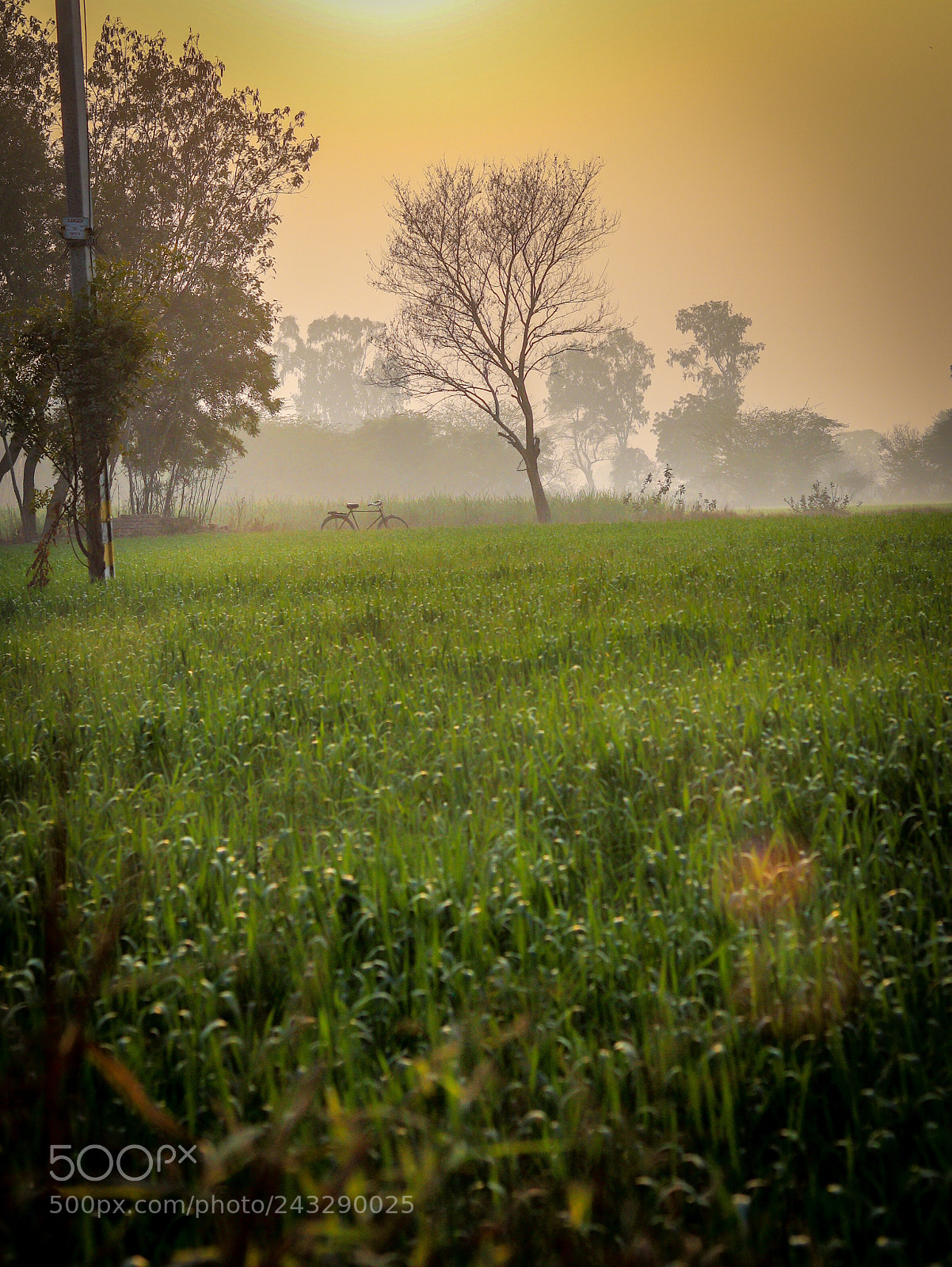 Canon EOS 77D (EOS 9000D / EOS 770D) sample photo. To be or not photography