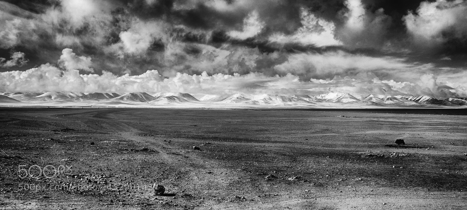 Nikon D90 sample photo. Tibet  lac namtso photography