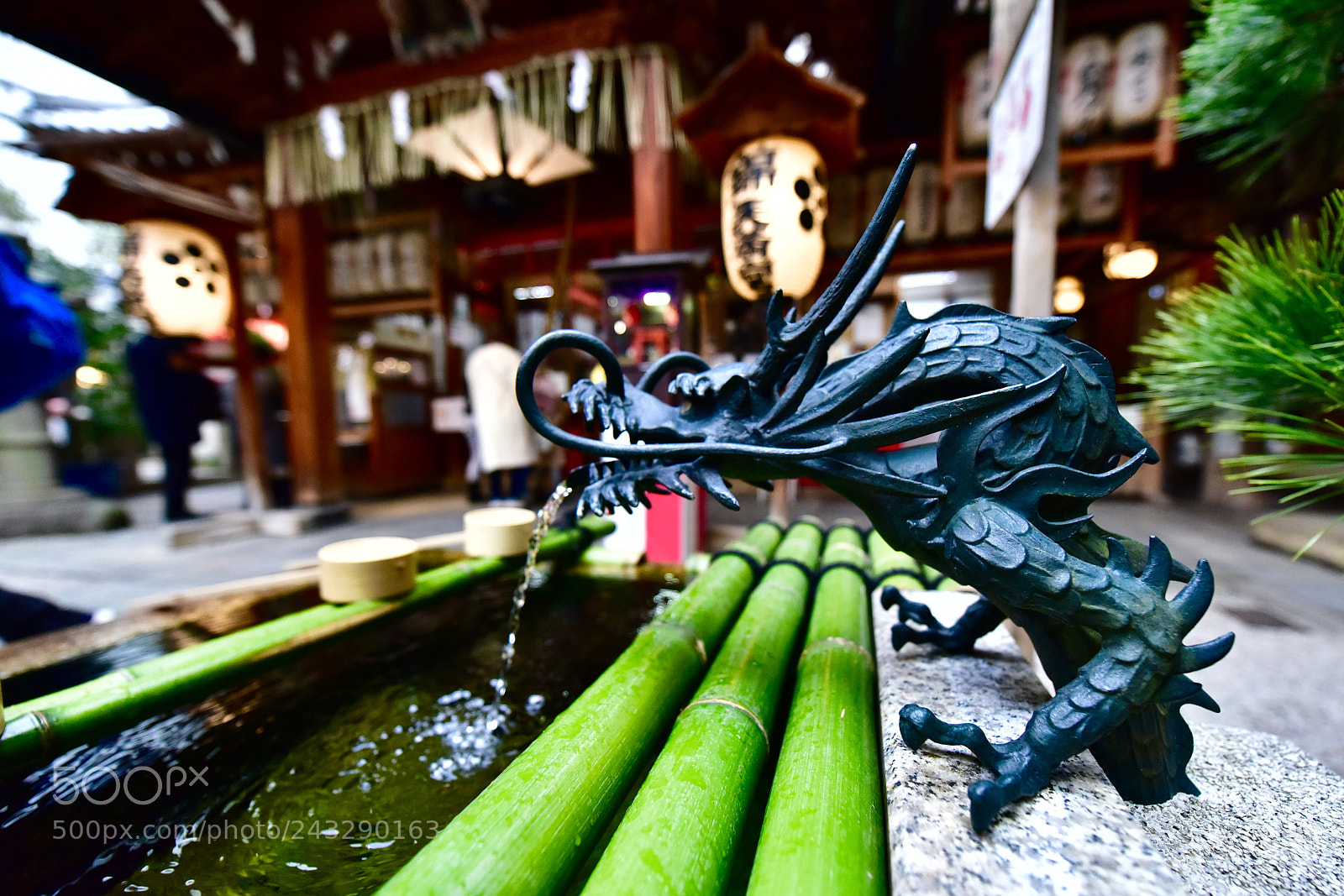 Nikon D810 sample photo. Dragon fountain at a photography