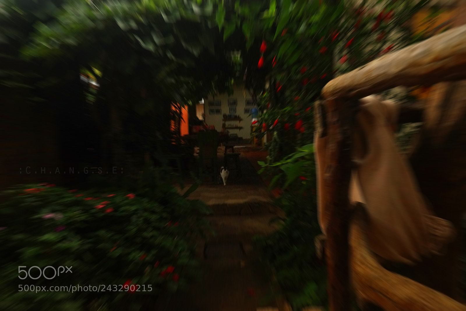 Sony SLT-A99V sample photo. Welcome... photography
