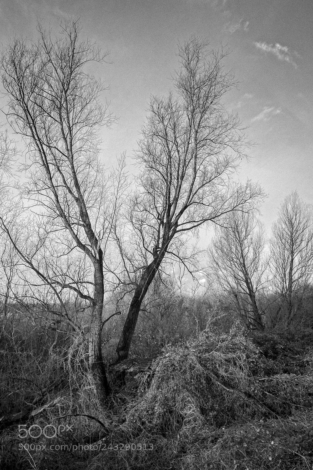 Fujifilm X70 sample photo. Grienden photography