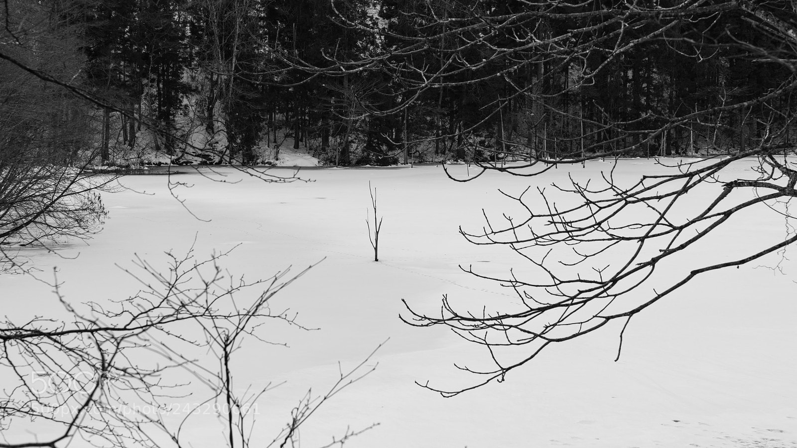 Sony a7R II sample photo. Alone b&w photography