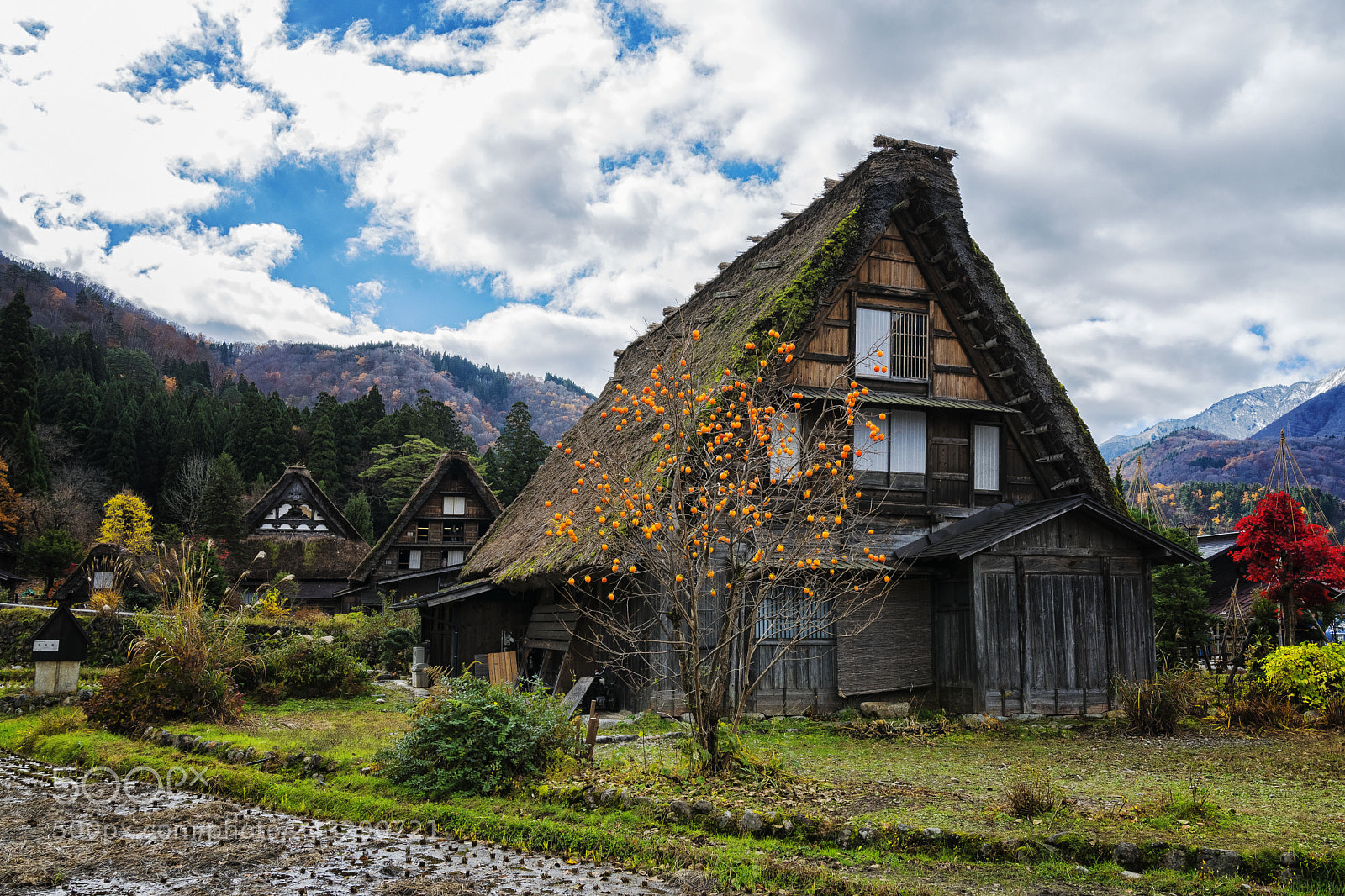 Nikon D610 sample photo. Hut photography
