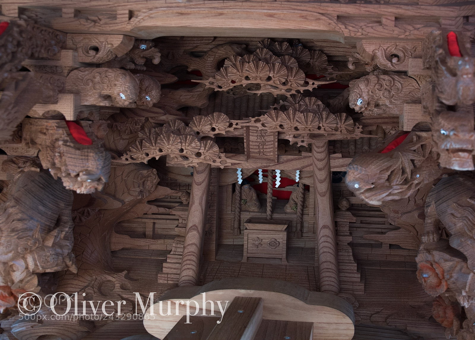 Nikon D500 sample photo. Detail from float photography