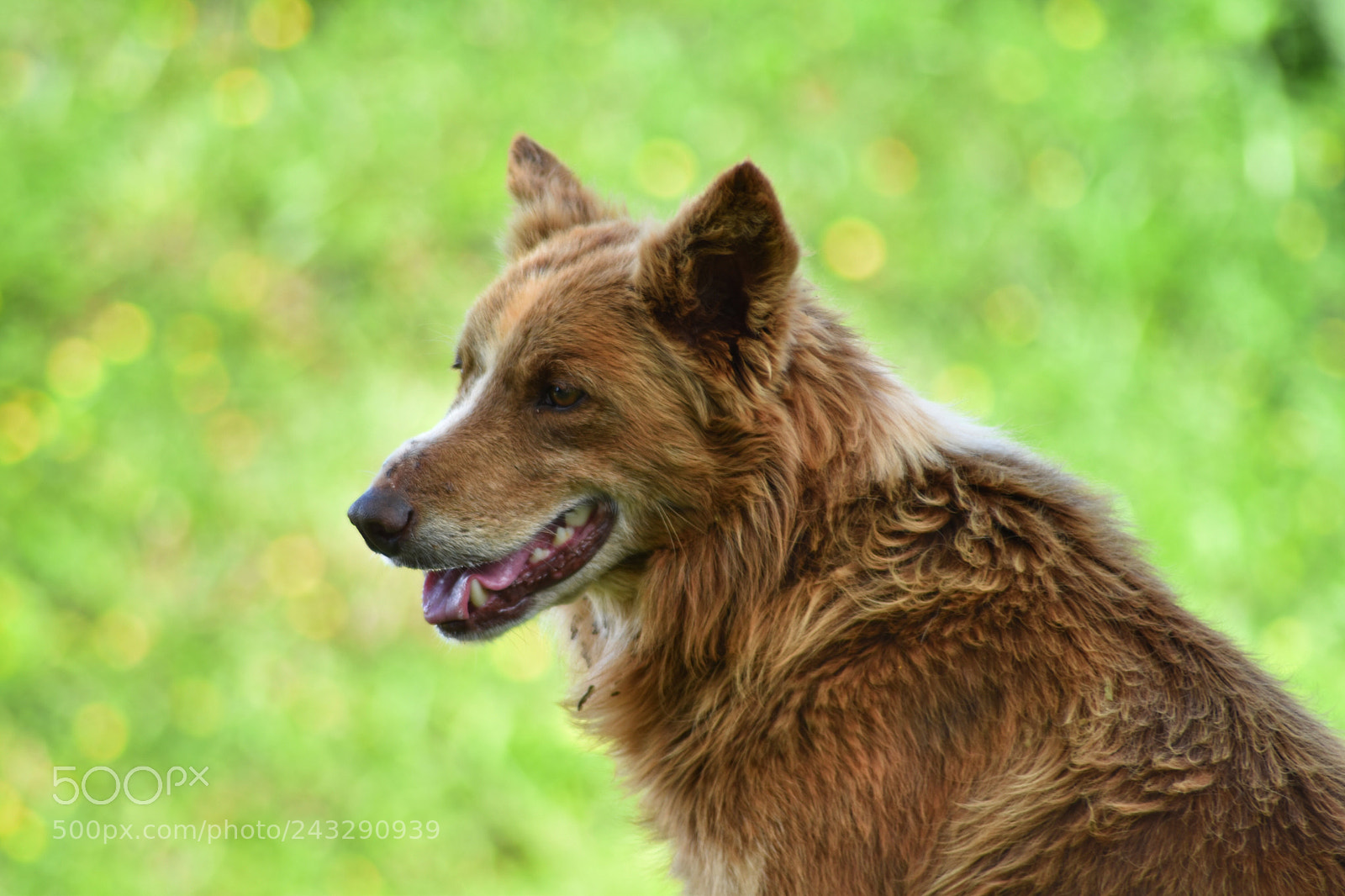 Nikon D5600 sample photo. ? photography