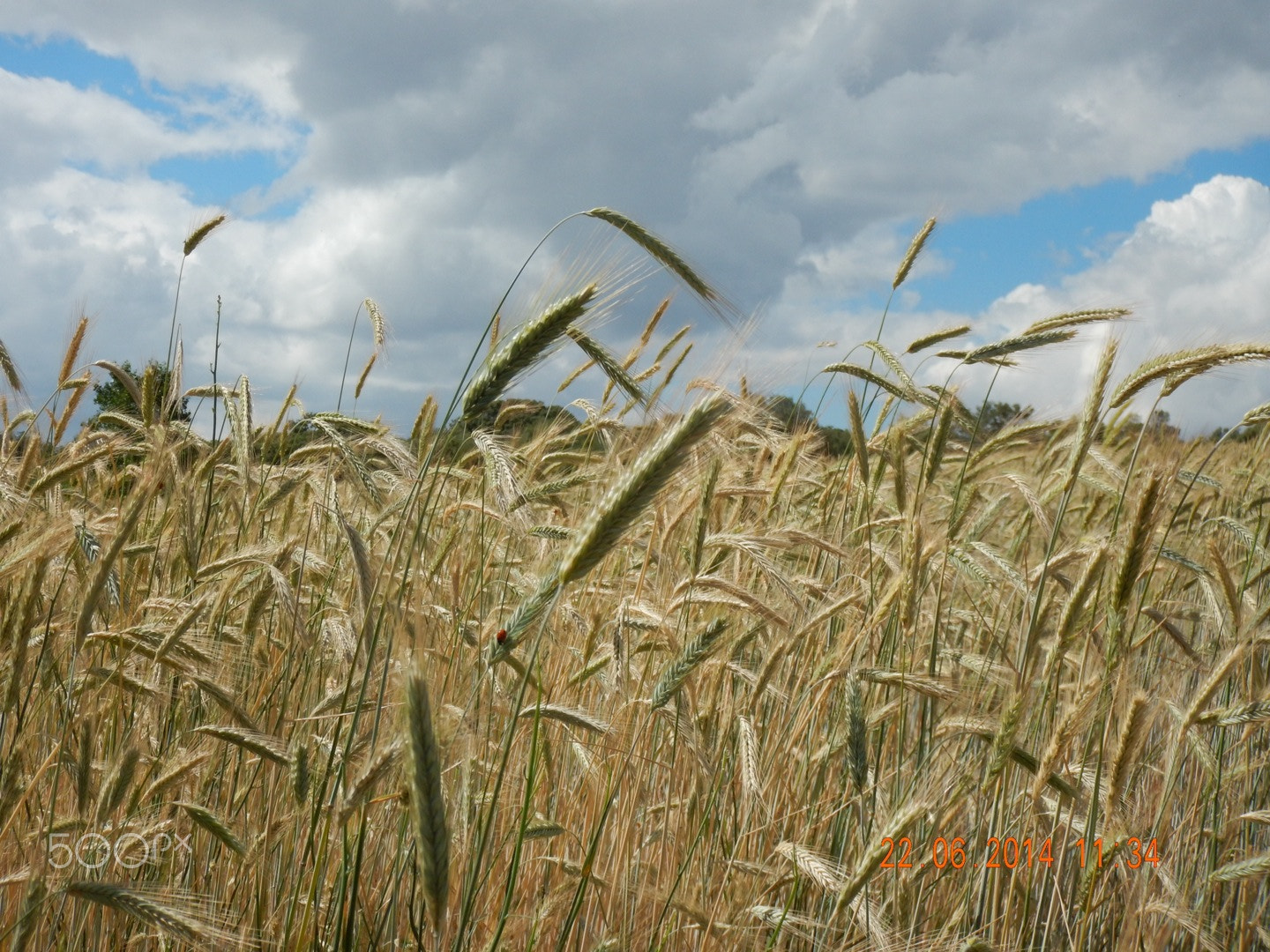 Nikon Coolpix AW120 sample photo. On the camino de santiago photography