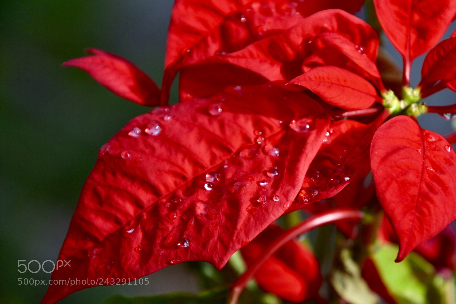 Nikon D3400 sample photo. Untitled photography