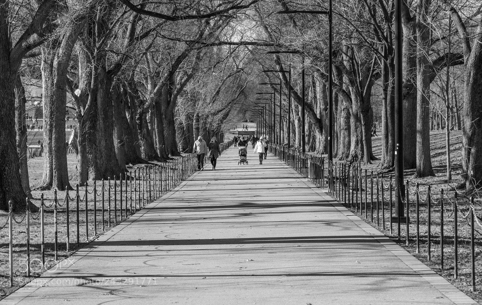 Canon EOS 550D (EOS Rebel T2i / EOS Kiss X4) sample photo. Strolling along the national photography