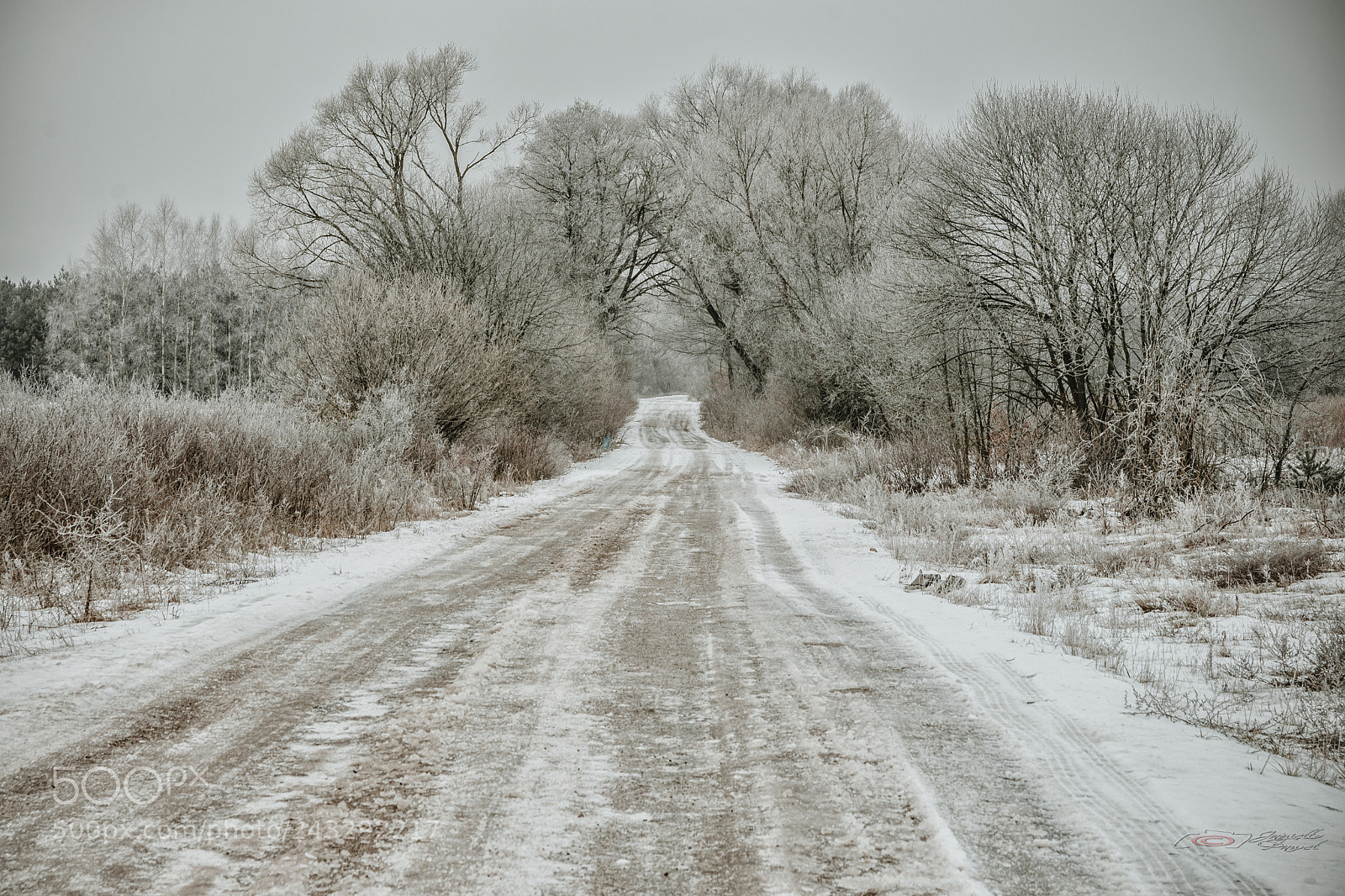 Nikon D7200 sample photo. Frost painted. photography