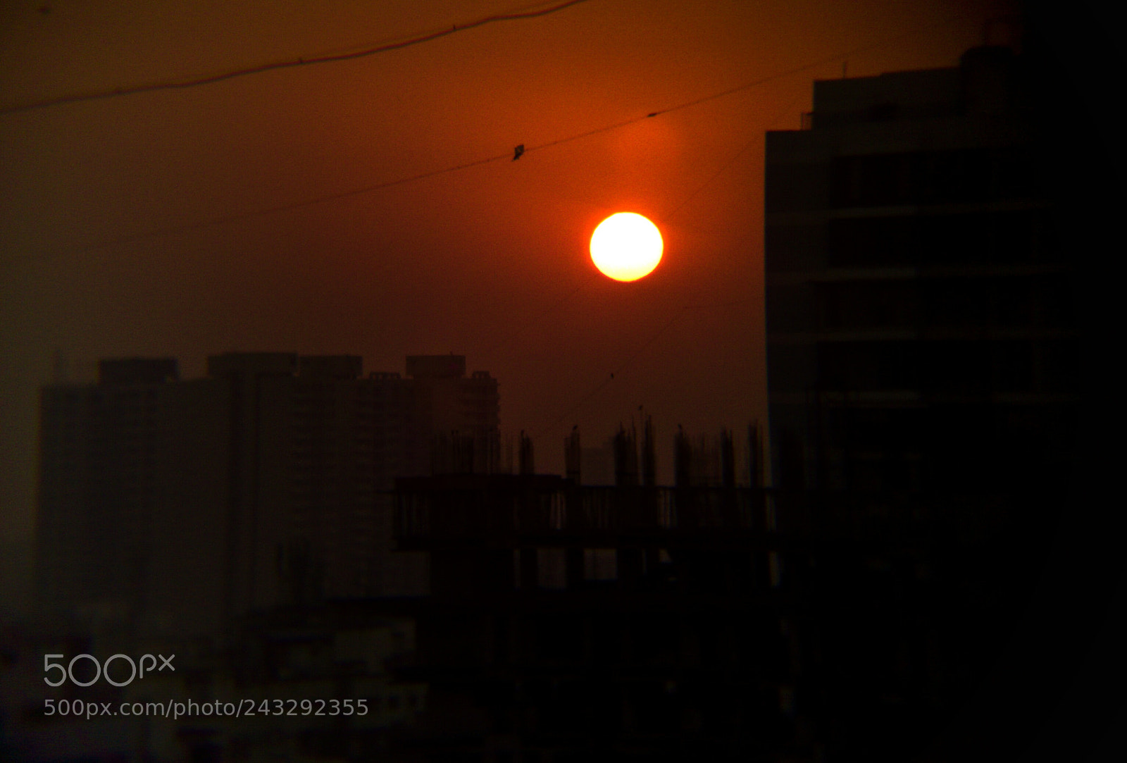 OPPO A37fw-International sample photo. The beautiful sunset shot photography