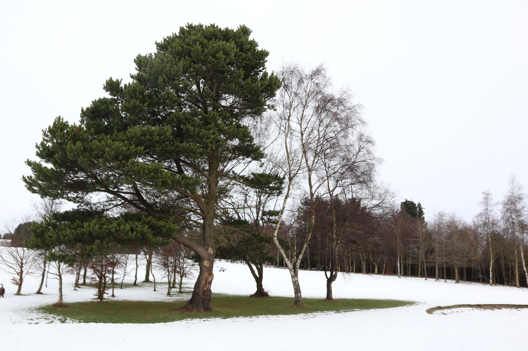 Canon EOS M6 sample photo. Scottish winter photography