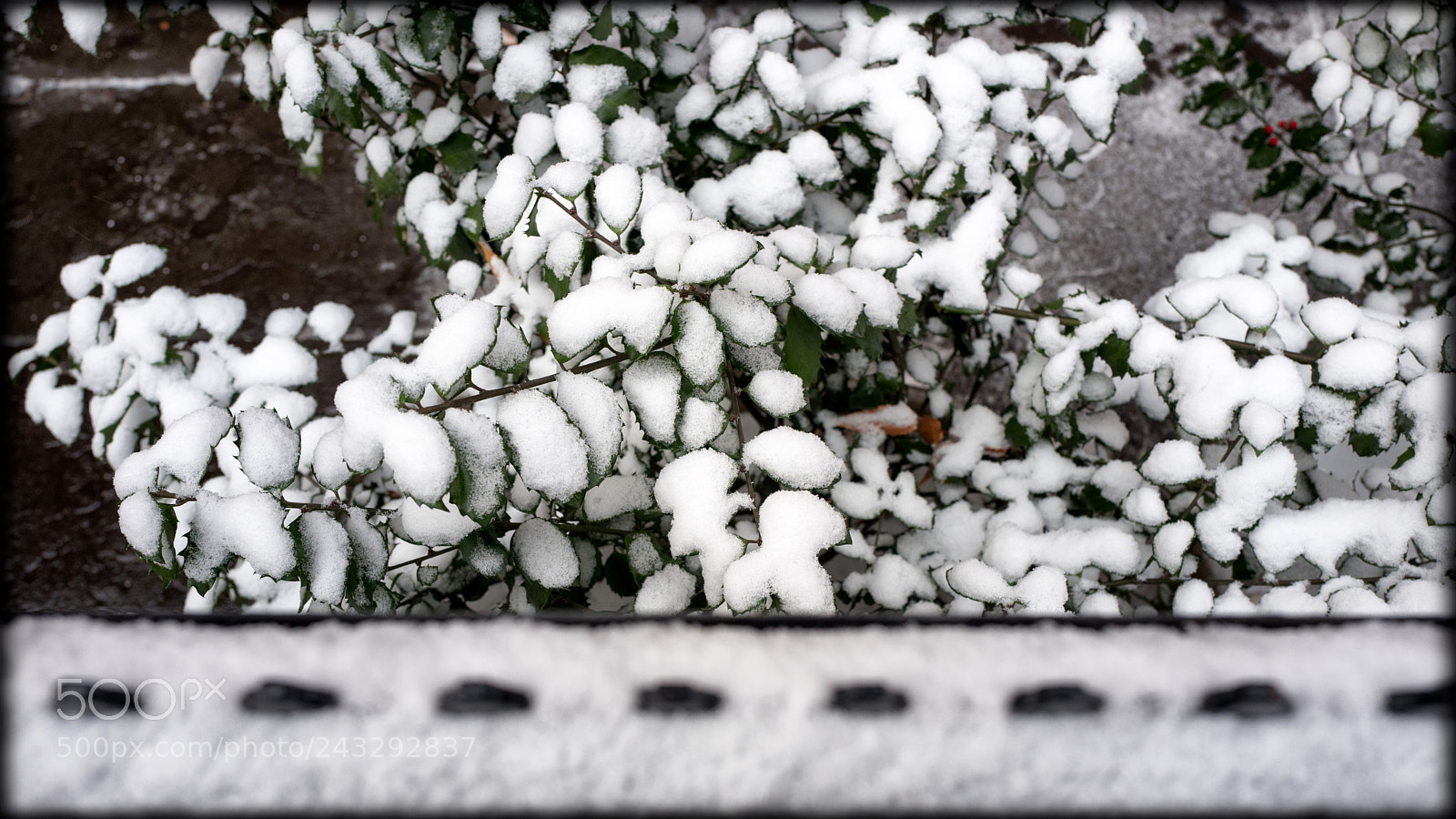 Leica Q (Typ 116) sample photo. Snowy new york photography
