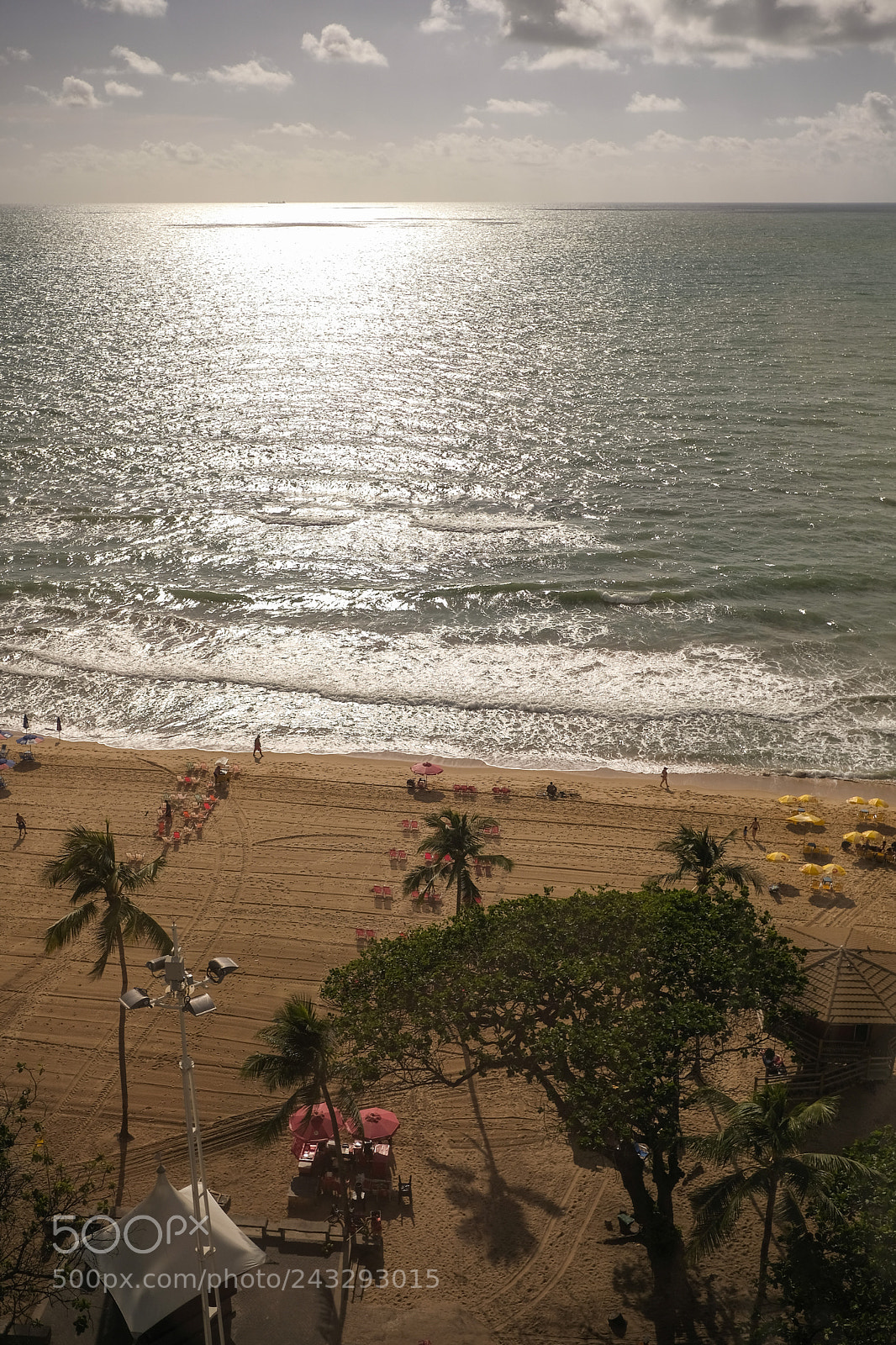 Fujifilm X-T2 sample photo. Bom dia good morning photography