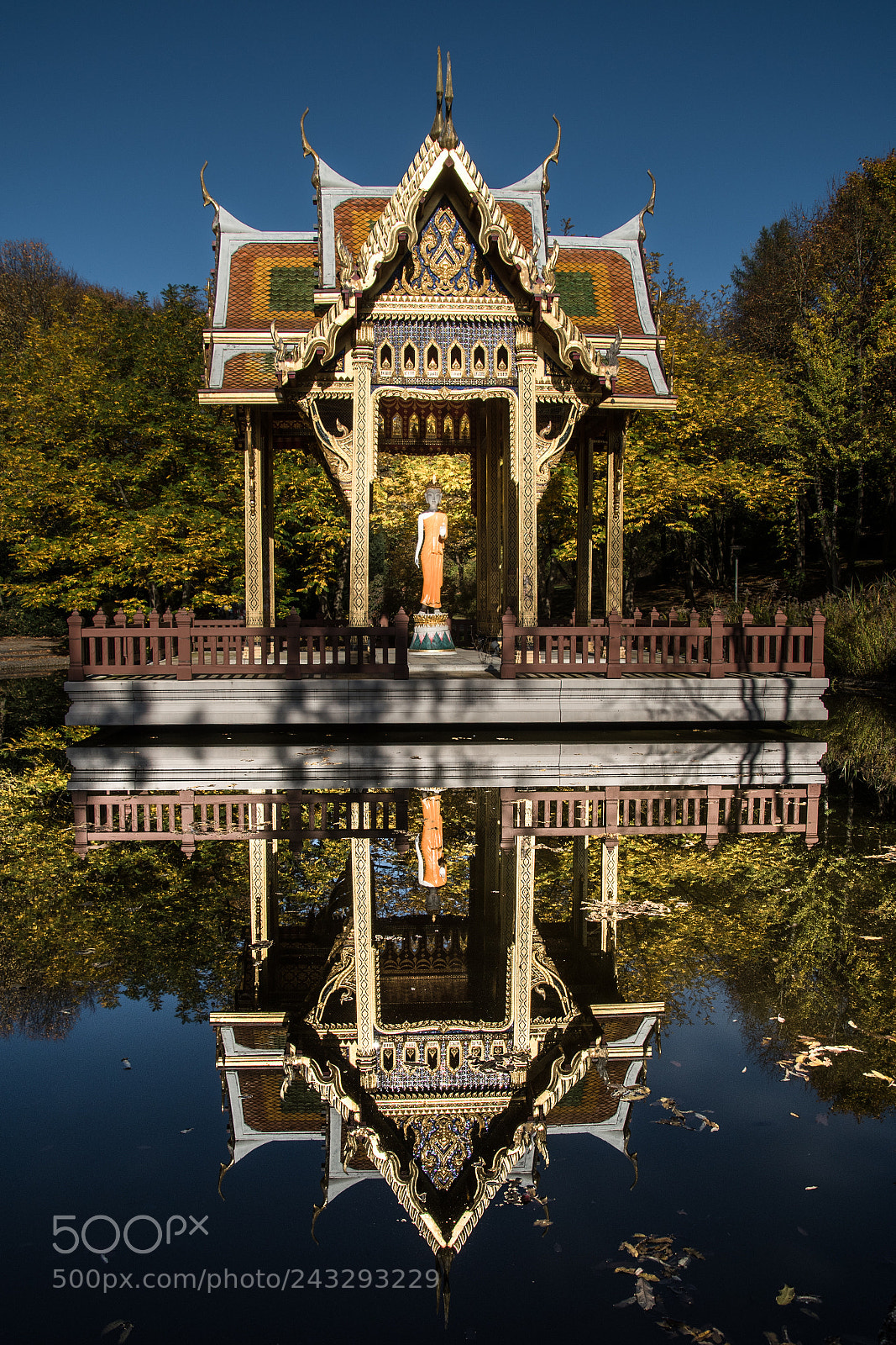Nikon D500 sample photo. Reflecting photography