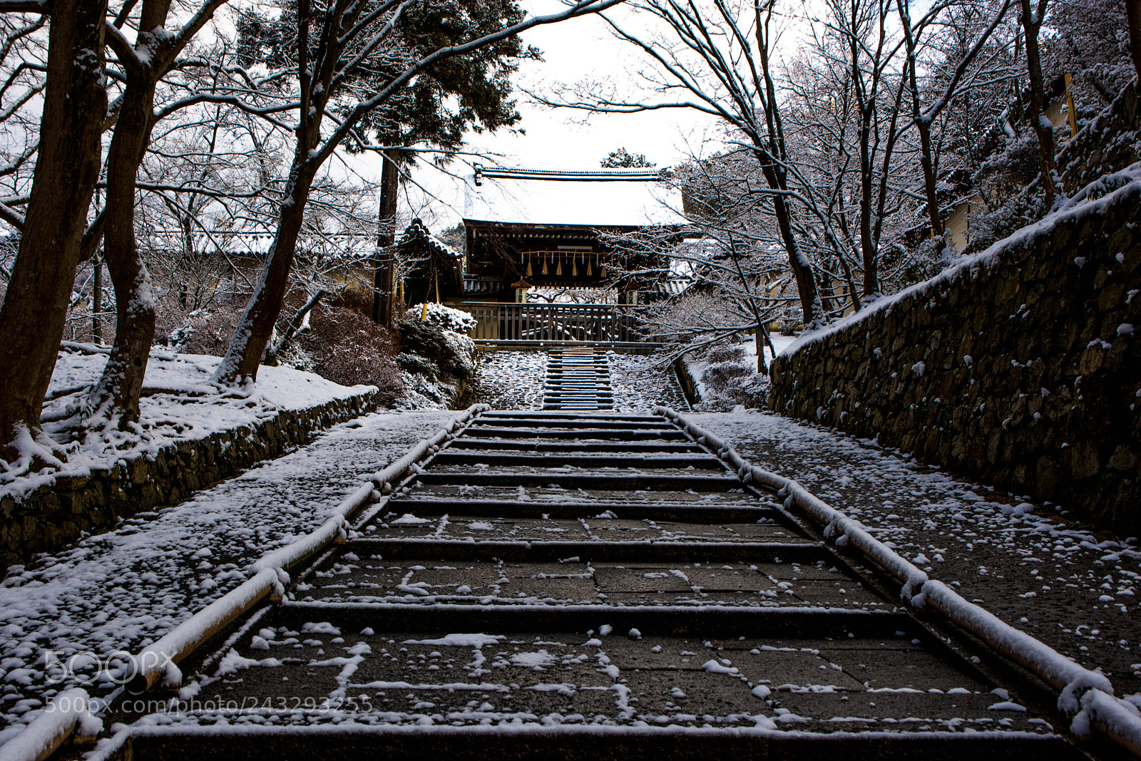 Nikon D810 sample photo. Temple in snow photography