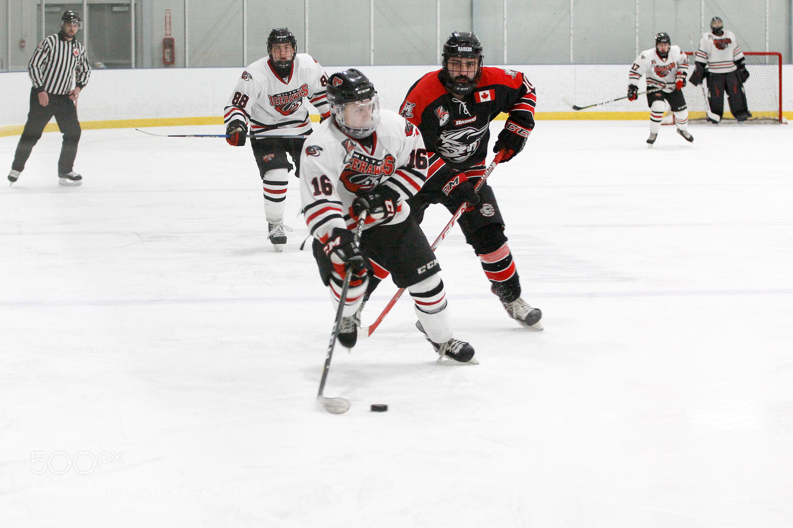 Canon EOS 60D sample photo. Milton icehawks vs geoegeown photography