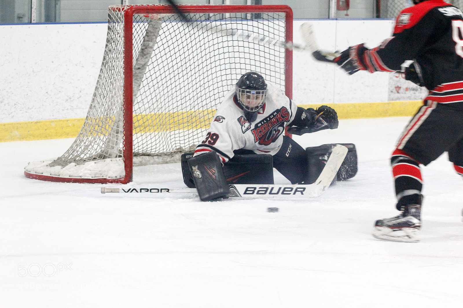 Canon EOS 60D sample photo. Milton icehawks vs geoegeown photography