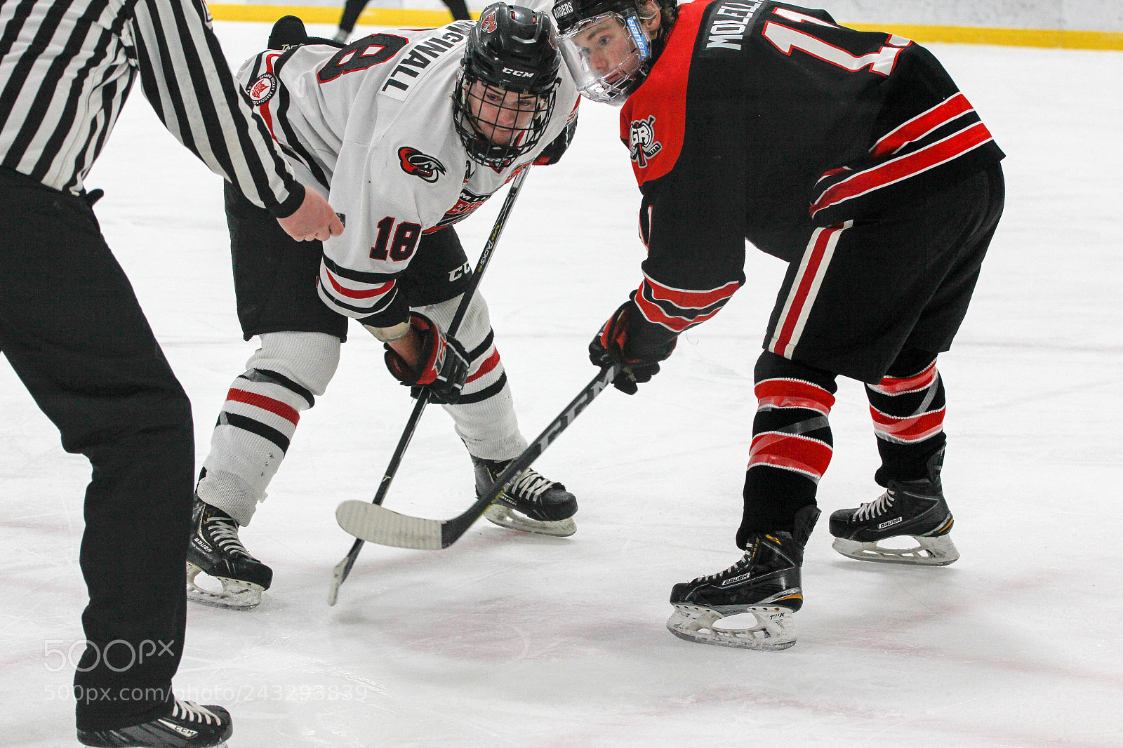 Canon EOS 60D sample photo. Milton icehawks vs geoegeown photography