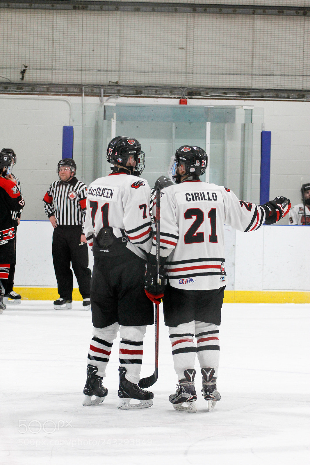 Canon EOS 60D sample photo. Milton icehawks vs geoegeown photography
