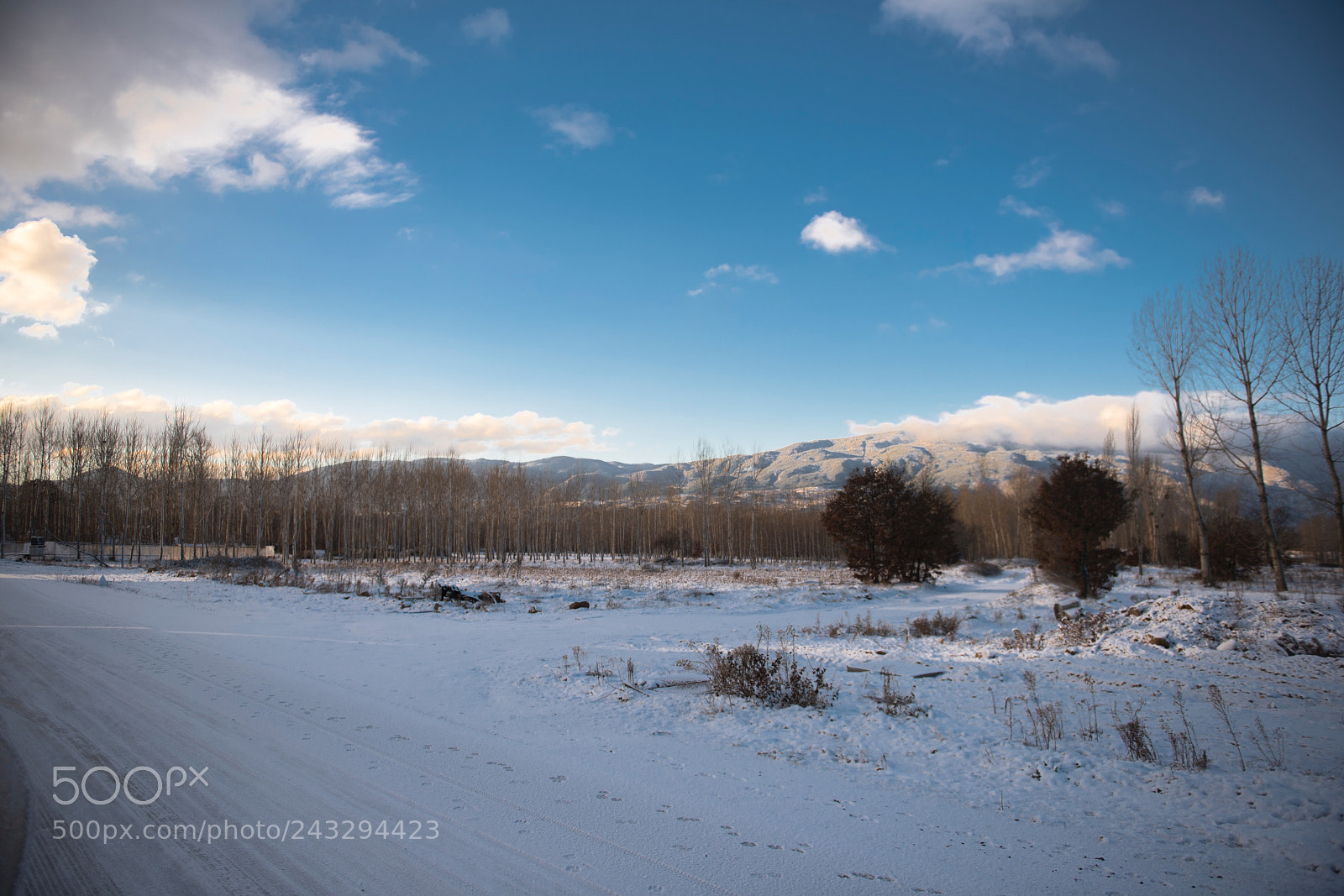 Nikon D810 sample photo. Untitled photography
