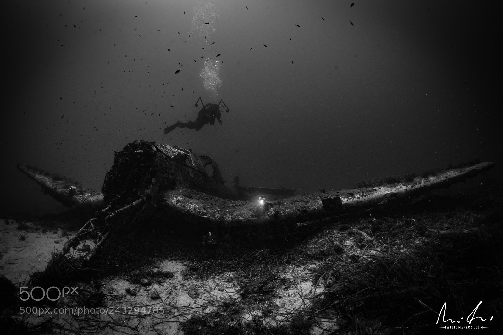 Nikon D7200 sample photo. Stuka (ju87) wreck underwater photography