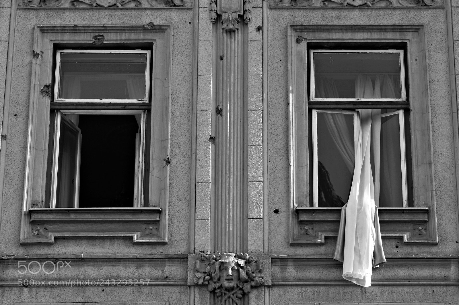 Canon EOS 400D (EOS Digital Rebel XTi / EOS Kiss Digital X) sample photo. Scarred photography