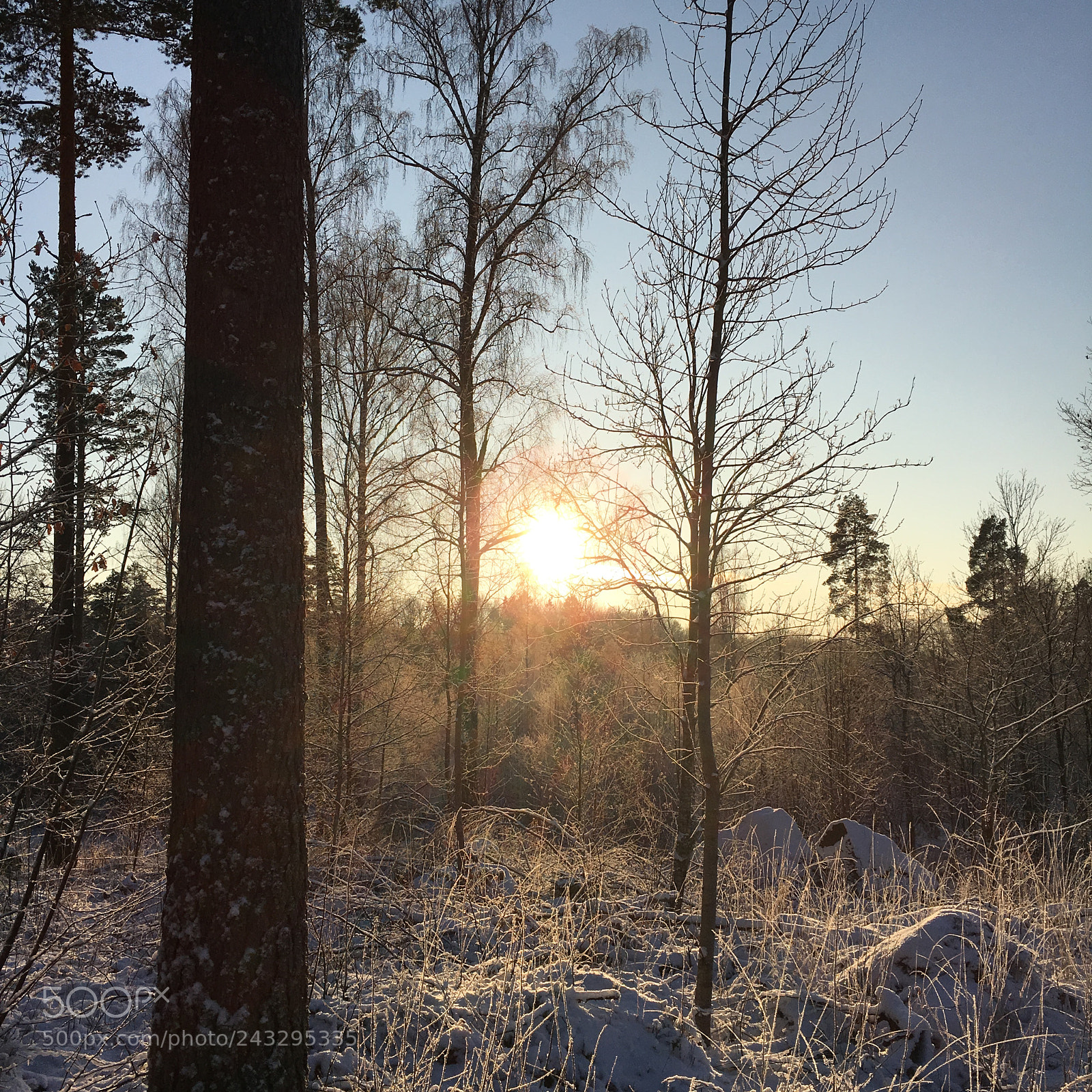 Apple iPhone 6s sample photo. Winter photography