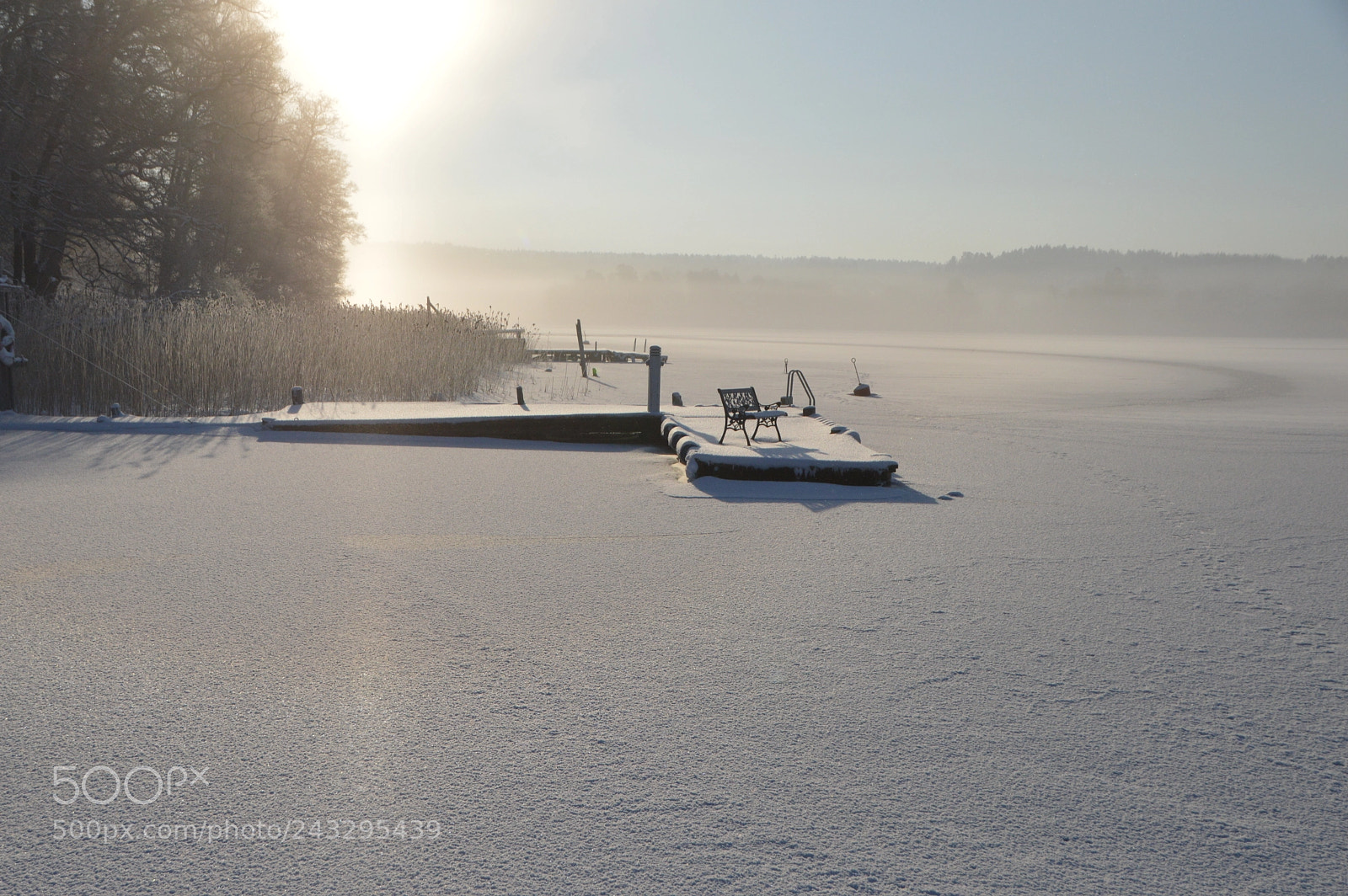 Nikon D3200 sample photo. A foggy winter day photography