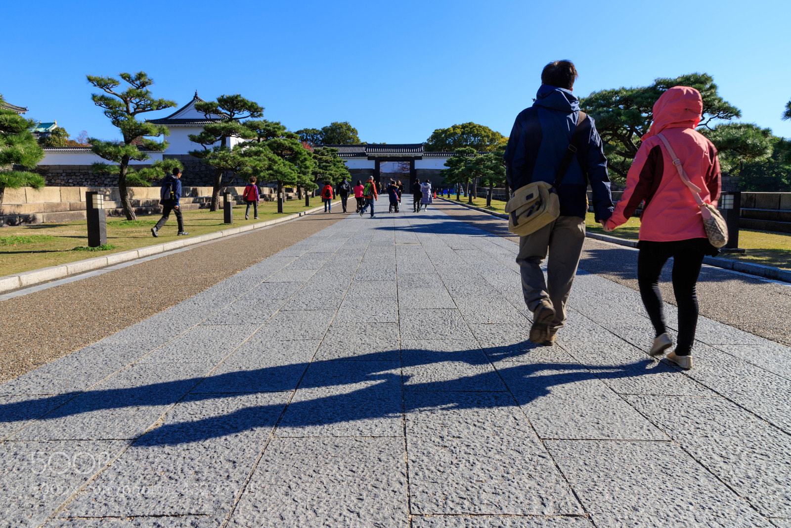 Canon EOS 6D Mark II sample photo. Far and near photography