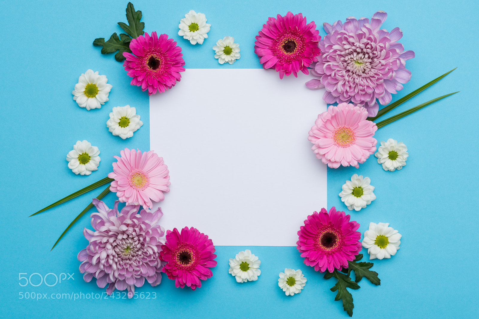 Nikon D810 sample photo. Happy mother's day, women's photography
