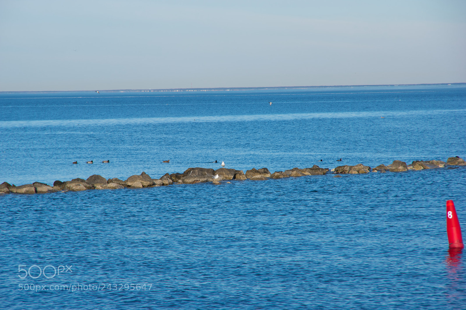 Pentax K-70 sample photo. 2018 01 20_0029.jpg photography