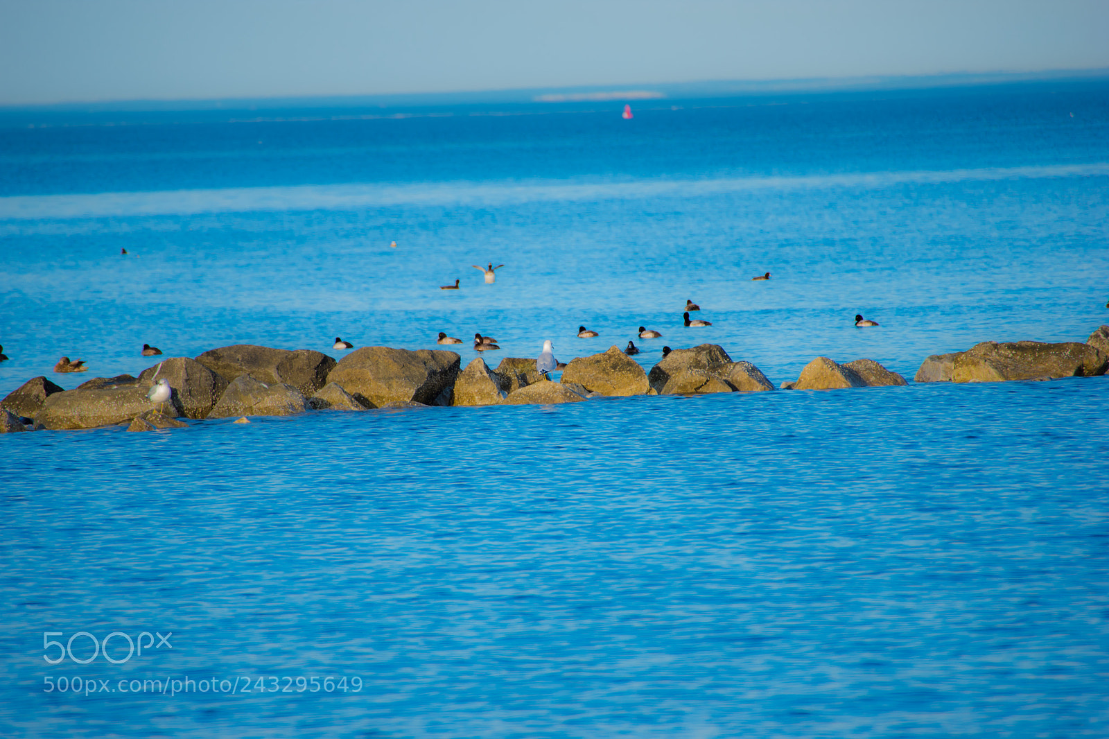 Pentax K-70 sample photo. 2018 01 20_0030.jpg photography