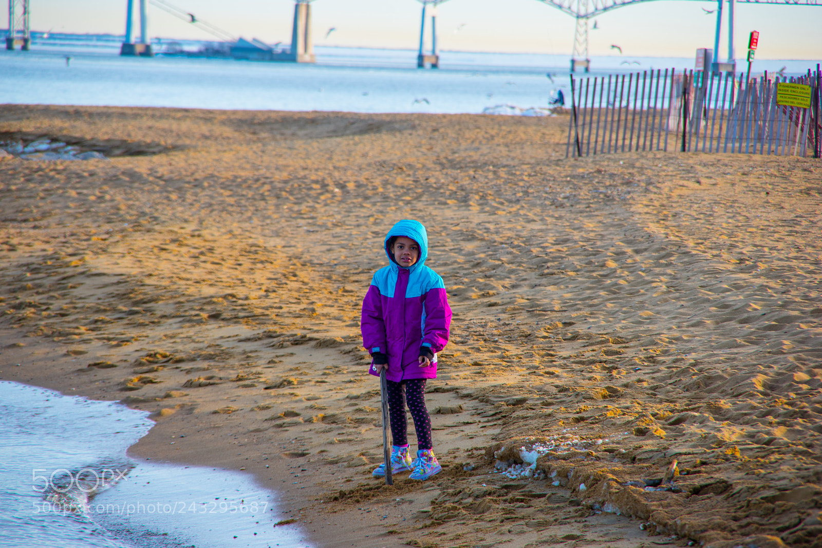 Pentax K-70 sample photo. 2018 01 20_0037.jpg photography