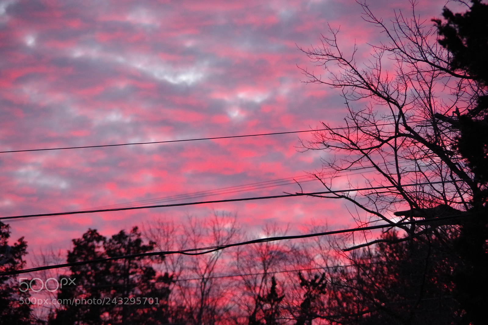 Pentax K-70 sample photo. Night sky photography