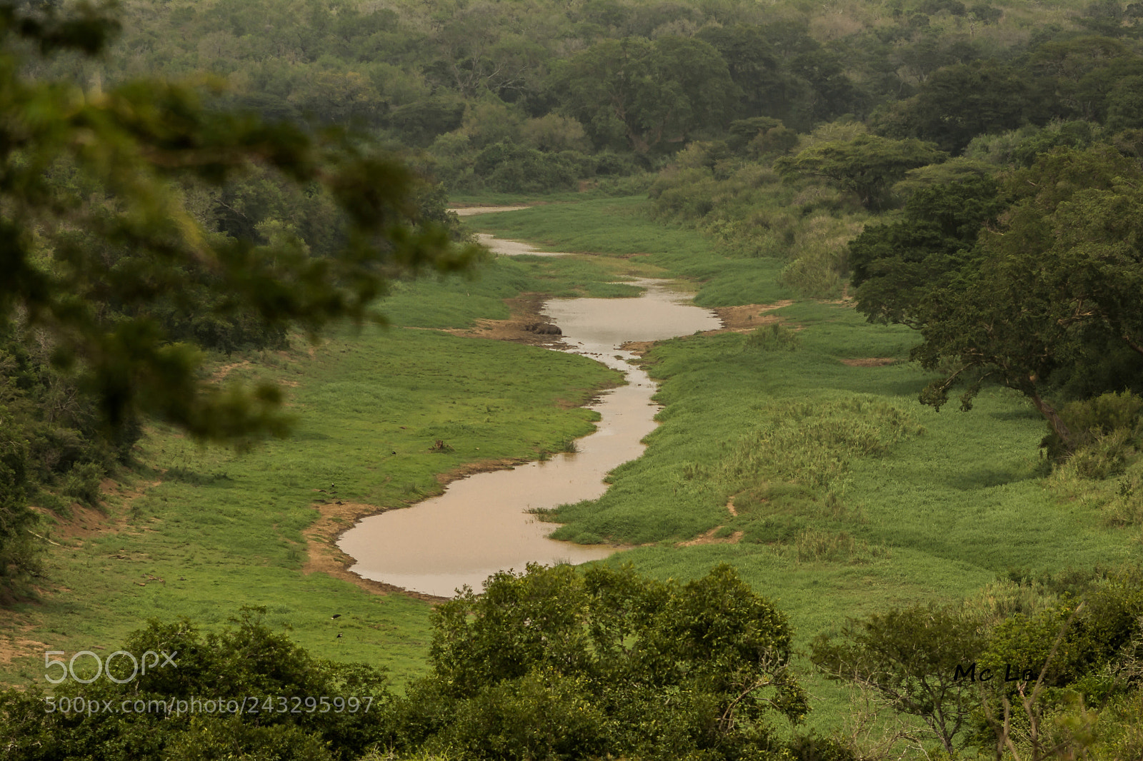 Nikon D7100 sample photo. Paysage - reserve hluhluwe photography
