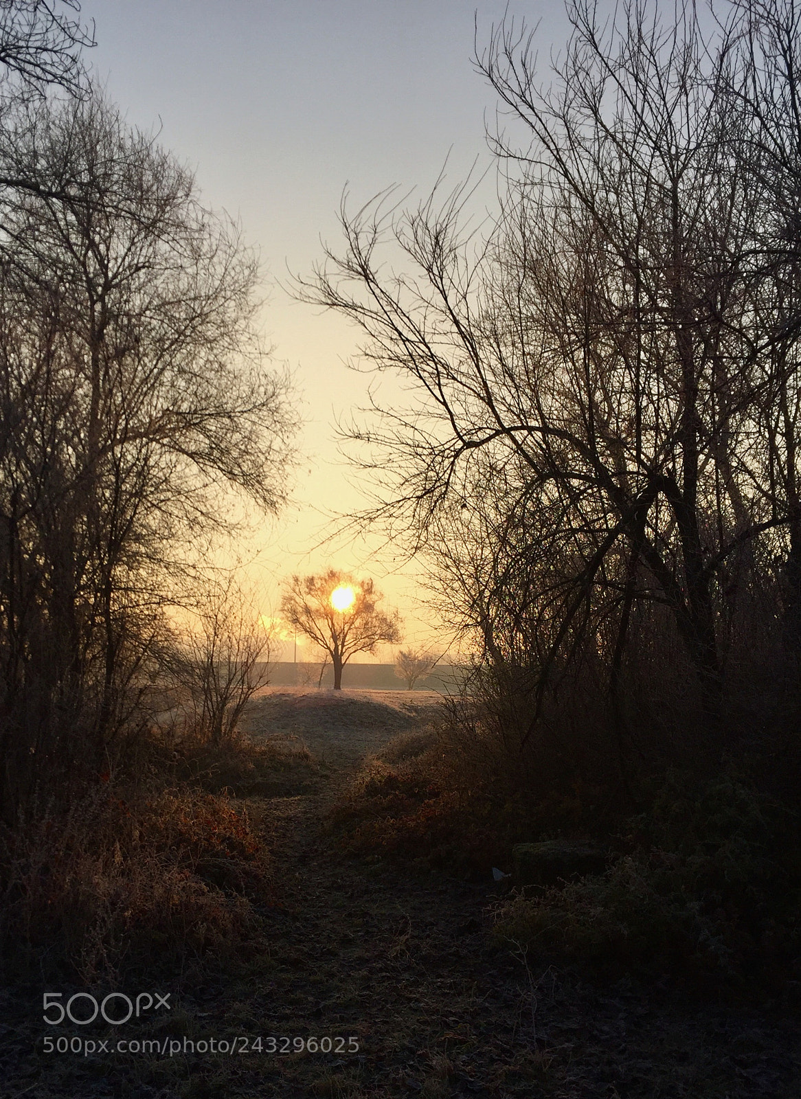 Apple iPhone 6 sample photo. Winter sunrise photography