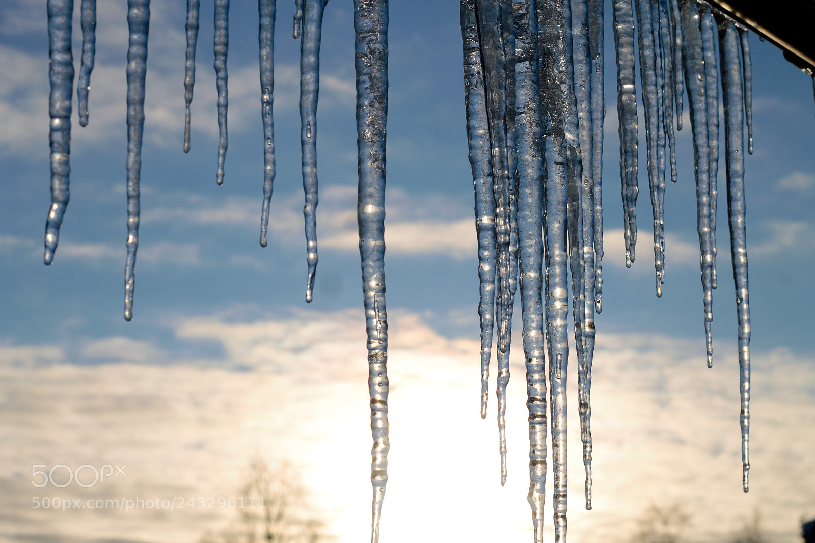 Canon EOS 1100D (EOS Rebel T3 / EOS Kiss X50) sample photo. Icicles photography