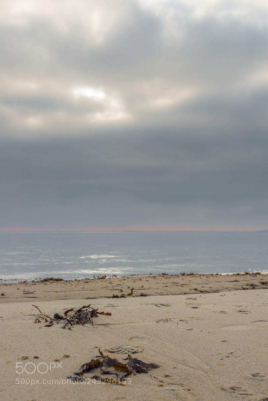 Nikon D610 sample photo. January beach photography