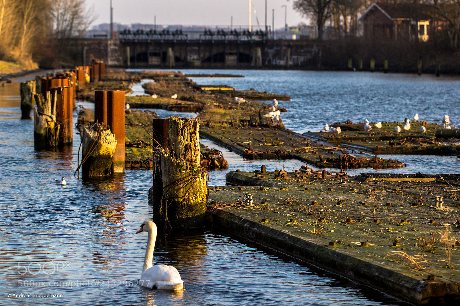 Canon EOS 60D sample photo. Wehre i live_002 photography