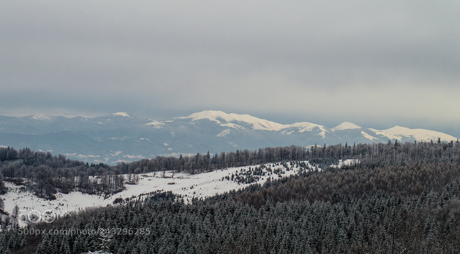 Nikon D3200 sample photo. Snow over the forest. photography