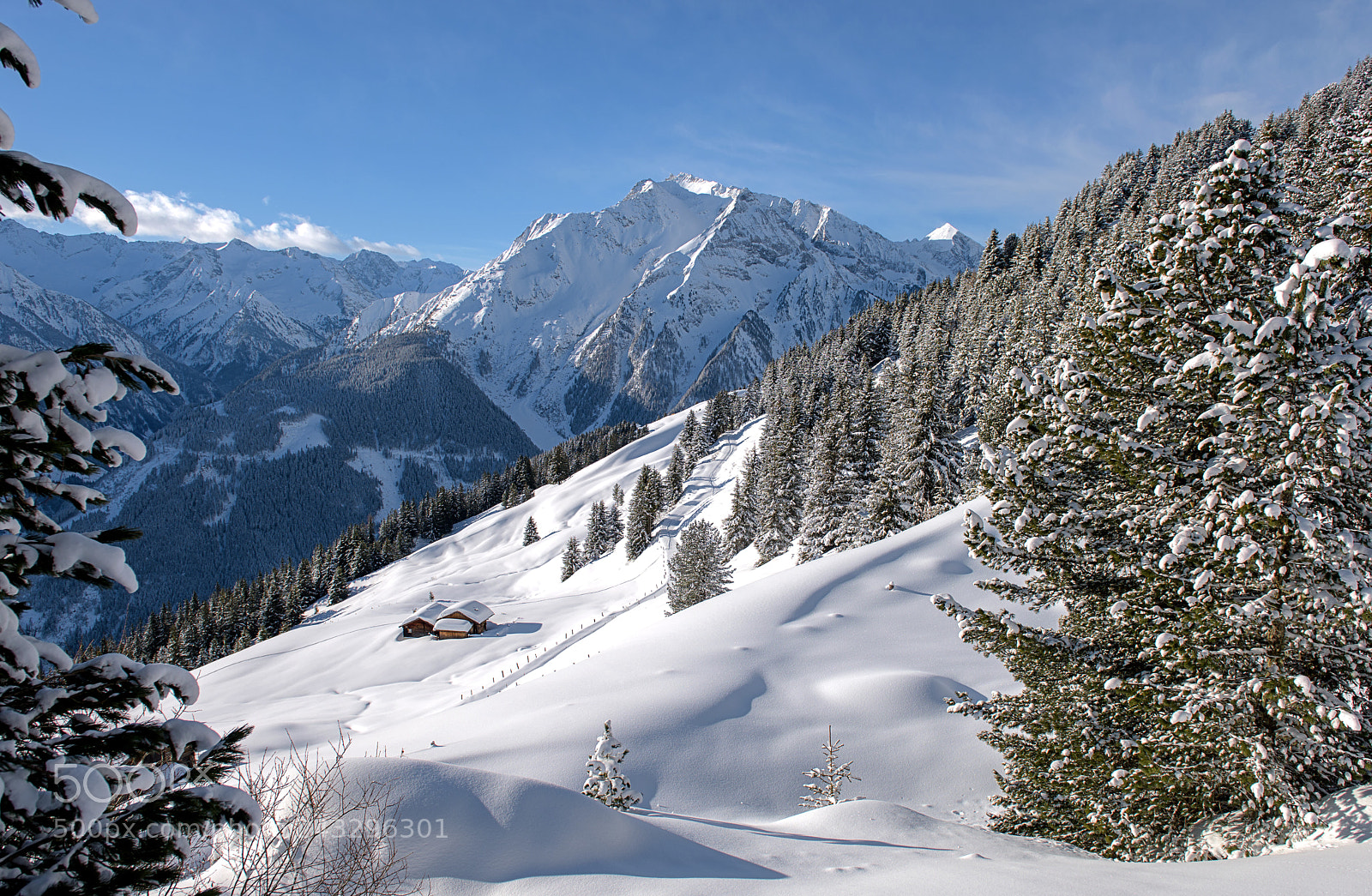Nikon D810 sample photo. Winterwunderland photography