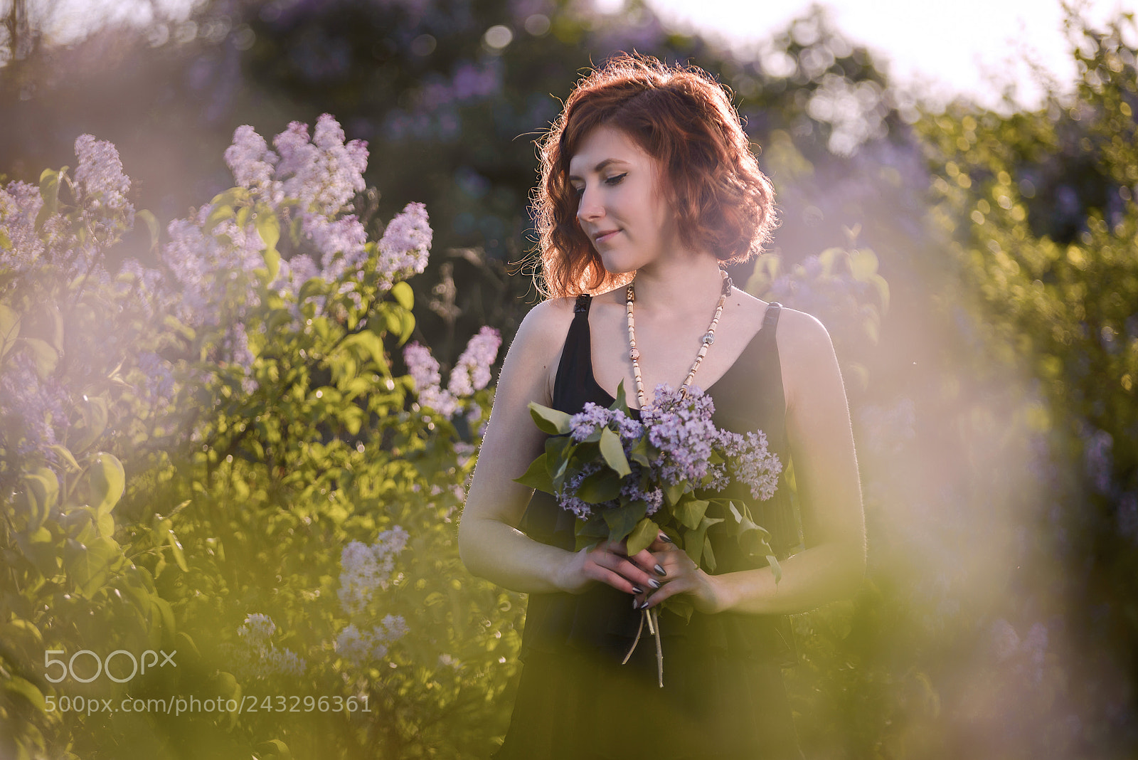 Nikon D600 sample photo. Mauve moment photography