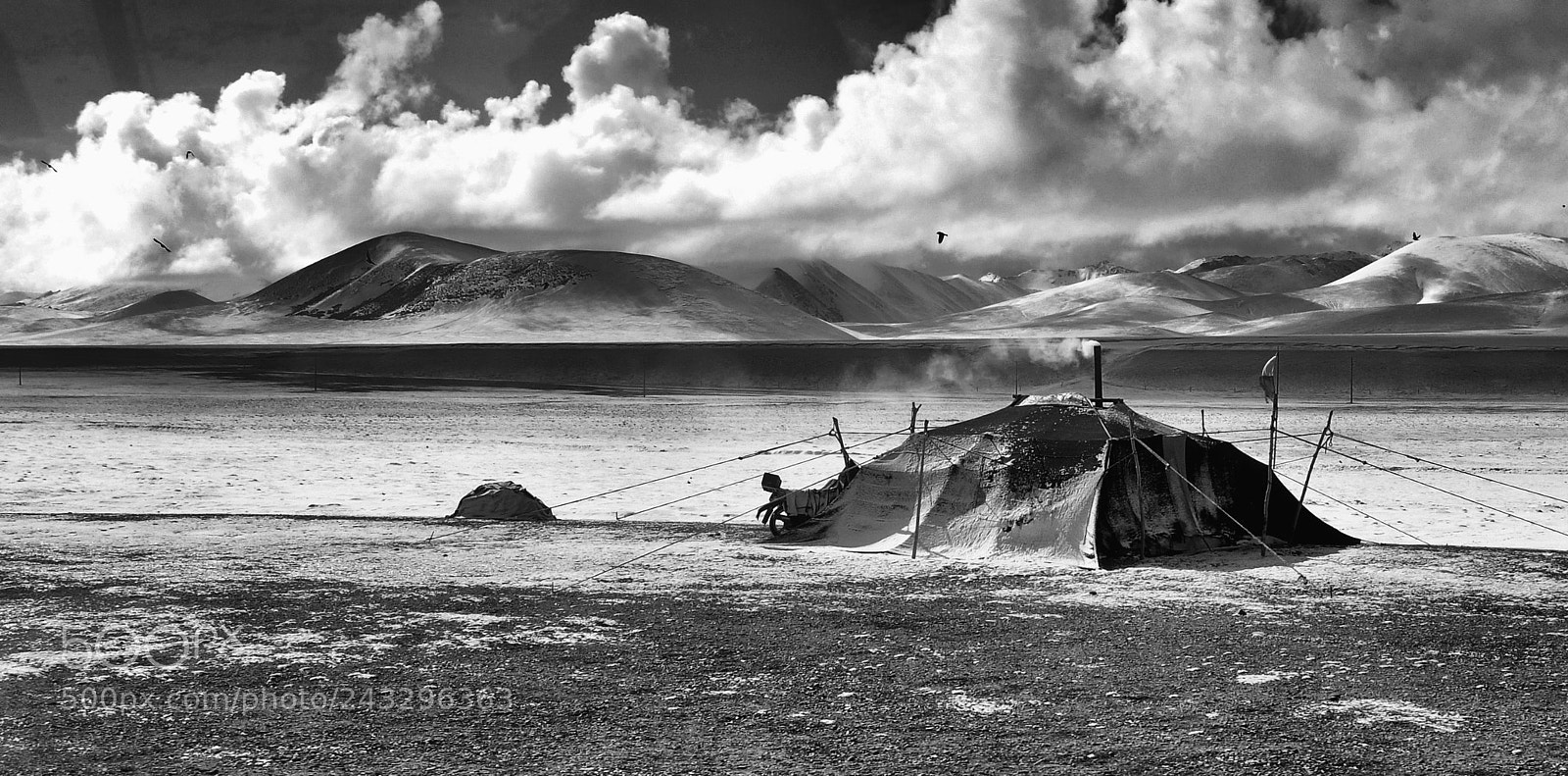 Nikon D90 sample photo. Lac namtso nomade tibet photography