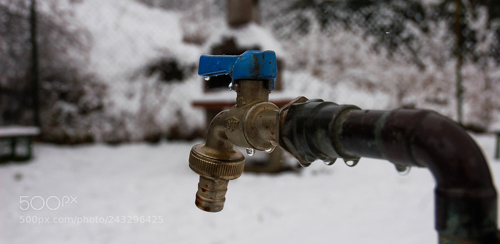 Nikon D50 sample photo. Winter tap photography