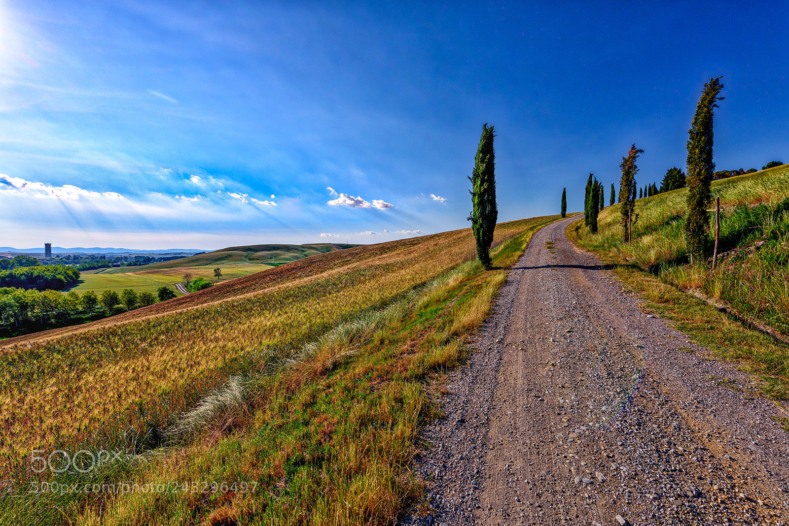 Nikon D810 sample photo. 17:19h @ tuscany italy ! photography
