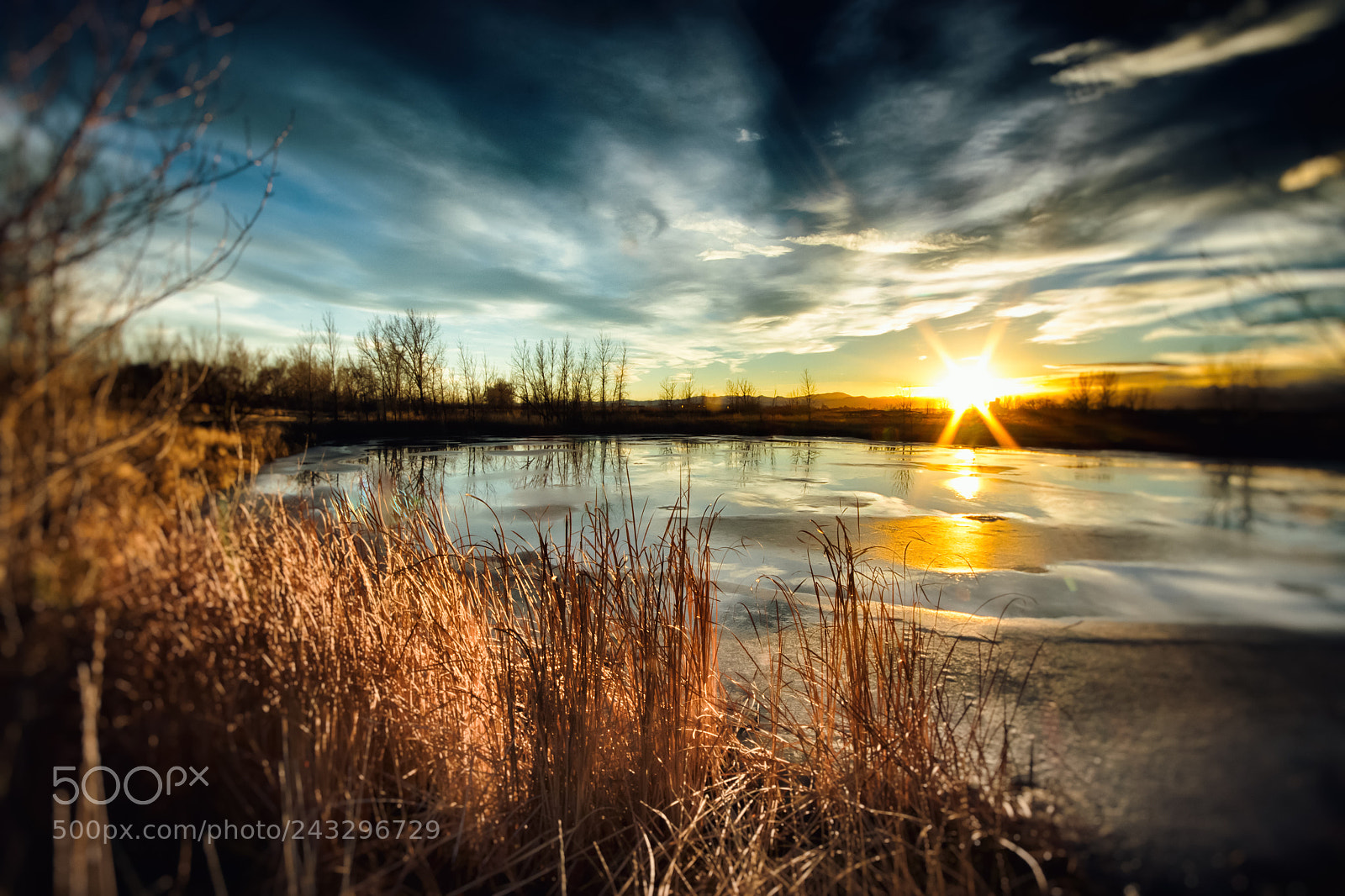 Canon EOS 7D Mark II sample photo. Yellow legs pond ii photography