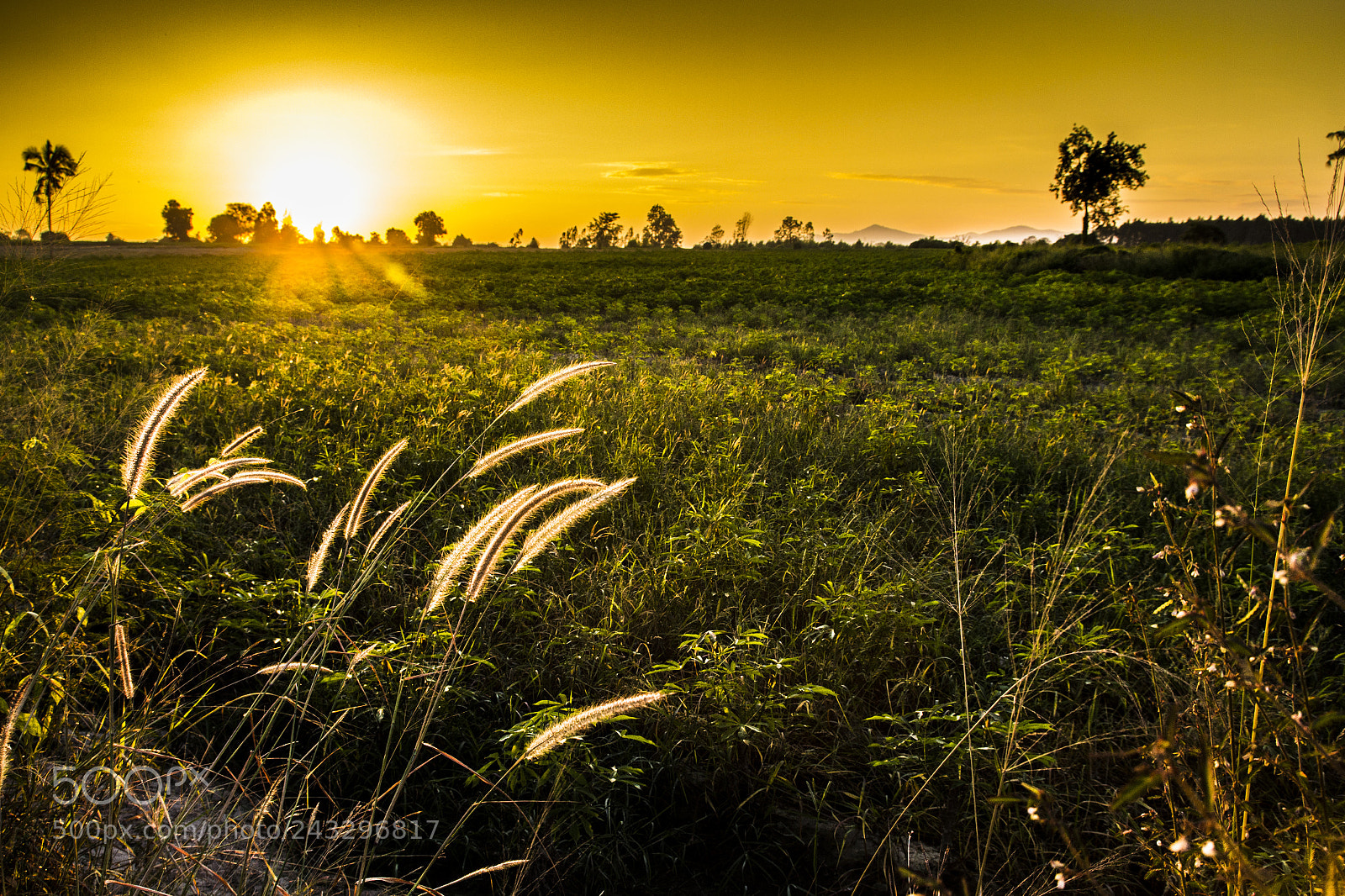Canon EOS 60D sample photo. Sundown photography